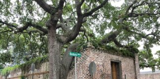 Najlepsze szlaki turystyczne w Andach