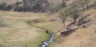 Zwiedzanie ekoturystyczne w Ameryce Południowej