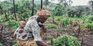 Historia Afryki - najważniejsze wydarzenia i postaci