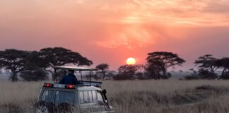 Najpiękniejsze wyspy Afryki