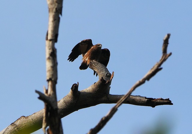 Jak długo ładuje się Nissan Leaf? Jak długo ładuje się Nissan Leaf?