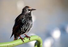 Co widać w świetle UV? Co widać w świetle UV?