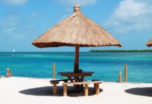 Jak wymienić uszczelniacz wybieraka? Jak wymienić uszczelniacz wybieraka?