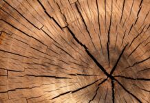 Z jakiego drewna najlepiej zrobić huśtawkę?