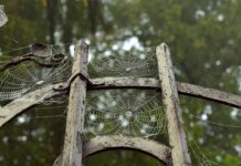 Jak się robi pajęczynę w Minecraft? Jak się robi pajęczynę w Minecraft?