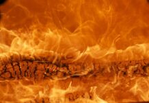 Jaka marka quada jest najlepsza? Jaka marka quada jest najlepsza?