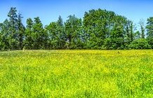 Ile kosztuje Range Rover Sport? Ile kosztuje Range Rover Sport?