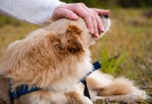 Co zrobić gdy wbije się gwóźdź w stopę? Co zrobić gdy wbije się gwóźdź w stopę?