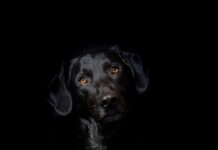 Czy hybryda nadaje się na długie trasy? Czy hybryda nadaje się na długie trasy?