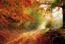 Czy rok produkcji opony ma znaczenie? Czy rok produkcji opony ma znaczenie?