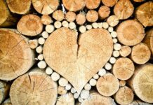 Jakie przedmioty są na leśnictwie?